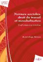 Normes Sociales, Droit Du Travail Et Mondialisation ; Confrontations Et Mutations - Preview