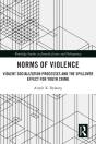Norms Of Violence - Preview