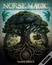 Capa do artigo Norse Magic
