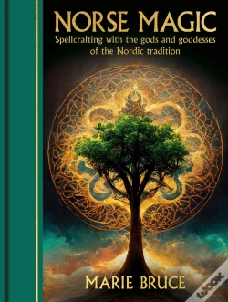 Capa do artigo Norse Magic