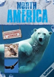 Capa do artigo North America