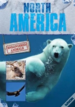 Capa do artigo North America