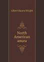 North American Anura - Preview