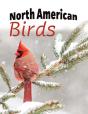 North American Birds - Preview