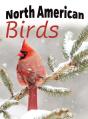 North American Birds - Preview