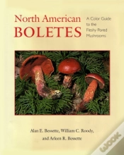 Capa do artigo North American Boletes