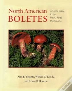 Capa do artigo North American Boletes