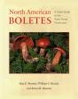 North American Boletes - Preview