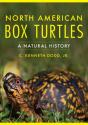 North American Box Turtles - Preview
