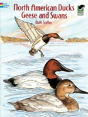 North American Ducks, Geese And Swans - Preview