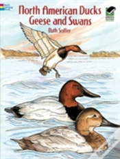 Capa do artigo North American Ducks, Geese And Swans