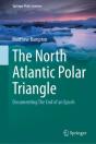 North Atlantic Polar Triangle - Preview