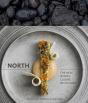 North - Preview