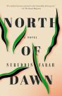 North Of Dawn - Preview