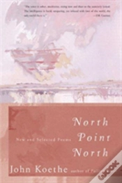 Capa do artigo North Point North
