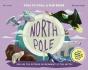 North Pole / South Pole - Preview