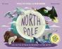 North Pole / South Pole - Preview