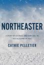 Northeaster - Preview