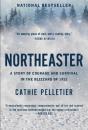 Northeaster - Preview