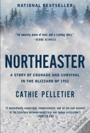 Capa do artigo Northeaster