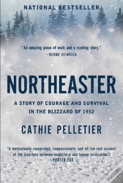 Capa do artigo Northeaster