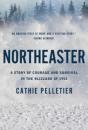 Northeaster - Preview
