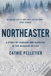 Capa do artigo Northeaster