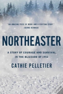 Capa do artigo Northeaster