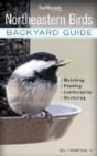 Northeastern Birds - Preview