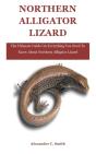 Northern Alligator Lizard - Preview