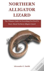Northern Alligator Lizard