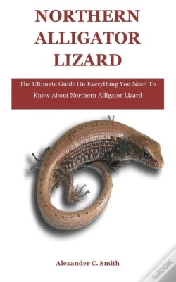 Capa do artigo Northern Alligator Lizard