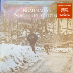 Capa do artigo Northern Attitude - Vinil