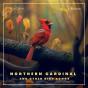 Northern Cardinal And Other Bird Songs - Preview