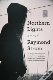Capa do artigo Northern Lights