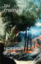 Capa do artigo Northern Lights