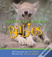 Northwest Animal Babies
