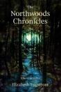 Northwoods Chronicles: A Novel In Short Stories - Preview
