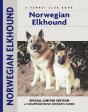 Norwegian Elkhound - Preview