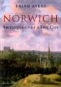 Norwich Archaeology Of A Fine City - Preview