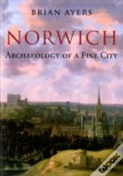 Capa do artigo Norwich Archaeology Of A Fine City