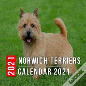 Norwich Terriers Calendar 2021
