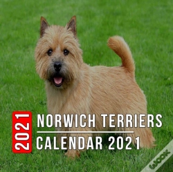 Capa do artigo Norwich Terriers Calendar 2021