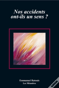 Capa do artigo Nos Accidents Ont Ils Un Sens ?