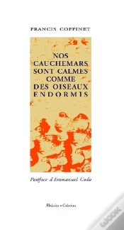 Capa do artigo Nos Cauchemars Sont Calmes Comme Des Oiseaux Endormis