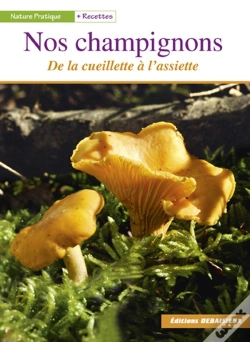 Capa do artigo Nos Champignons ; De La Cueillette A L'Assiette