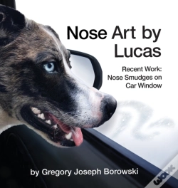 Capa do artigo Nose Art By Lucas
