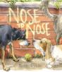 Nose To Nose - Preview
