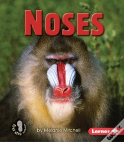Capa do artigo Noses