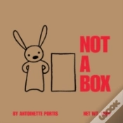 Capa do artigo Not A Box